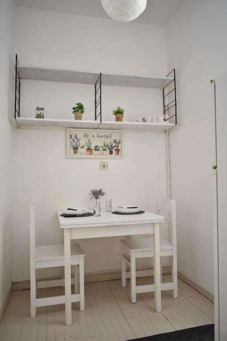 Cozy In The Heart Of The Historic Center 公寓 *